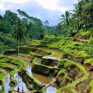 Ubud